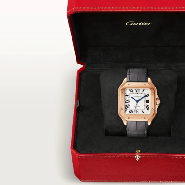 SANTOS DE CARTIER WATCH -WGSA0028 - Image 5